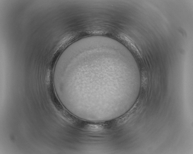 X0000115780167200912111135