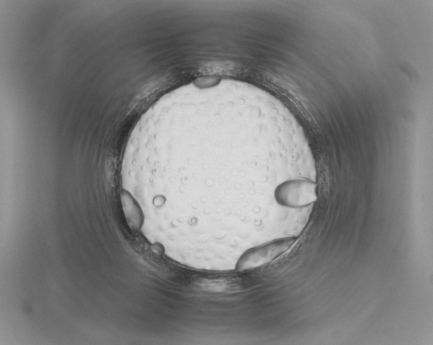 X0000115780171200912111135