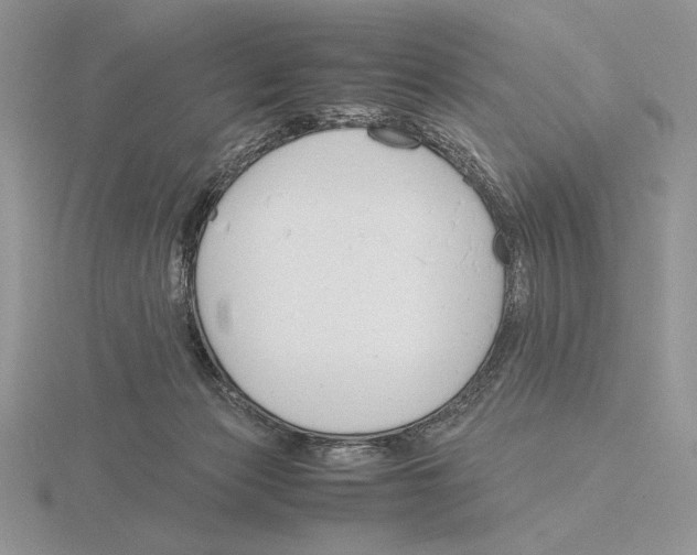 X0000115780173200912111135