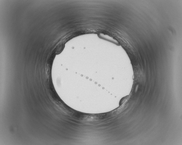 X0000115780174200912111135