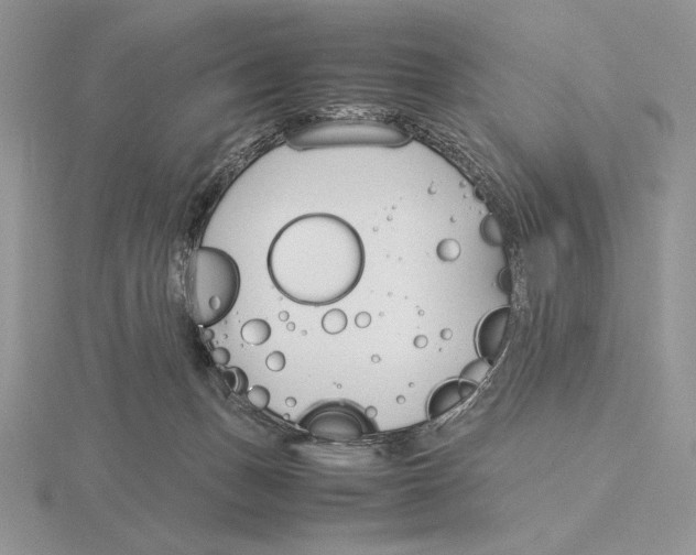 X0000115780175200912111135