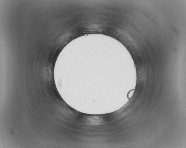 X0000115780183200912111135