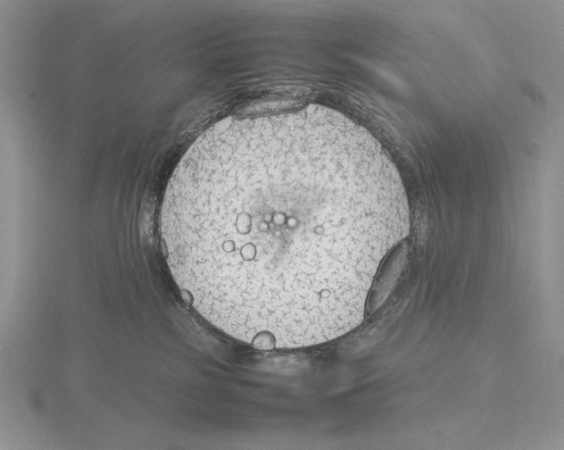 X0000115780185200912111135