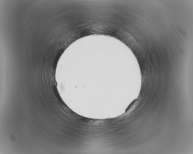 X0000115780186200912111135