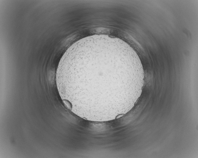 X0000115780189200912111135