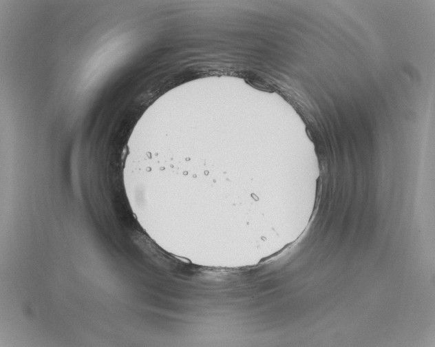 X0000115780190200912111135