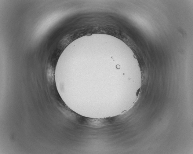 X0000115780191200912111135