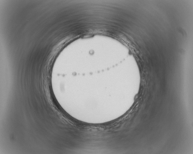 X0000115780193200912111134