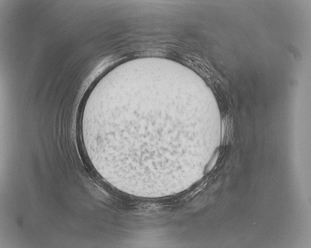 X0000115780195200912111134