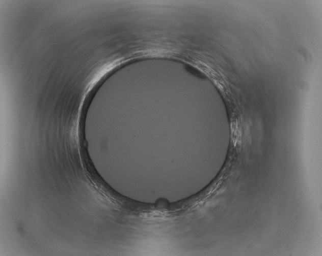 X0000115780196200912111134