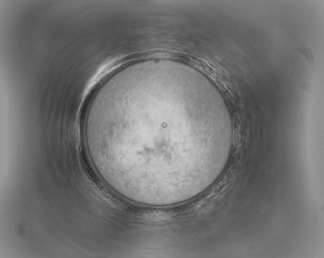 X0000115780198200912111134