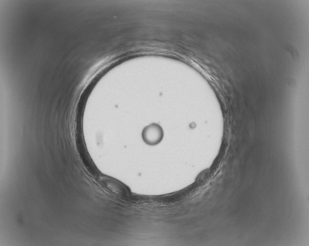 X0000115780199200912111134