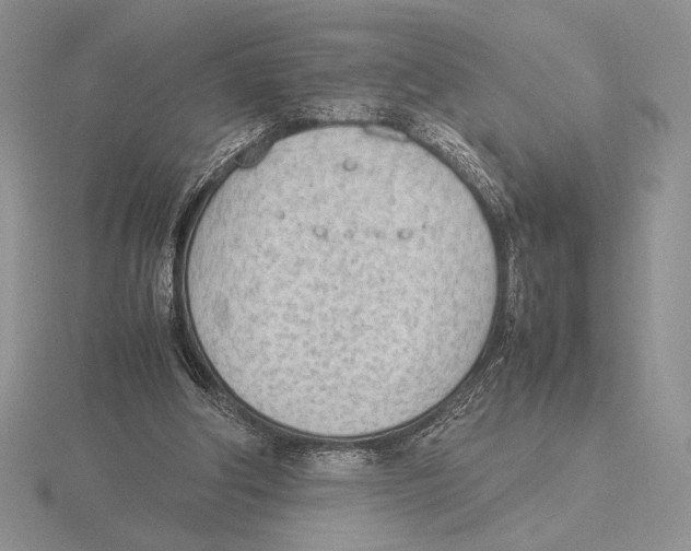 X0000115780202200912111134