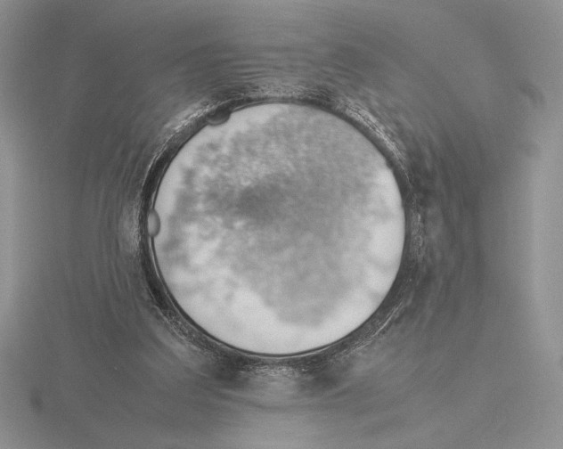 X0000115780203200912111134