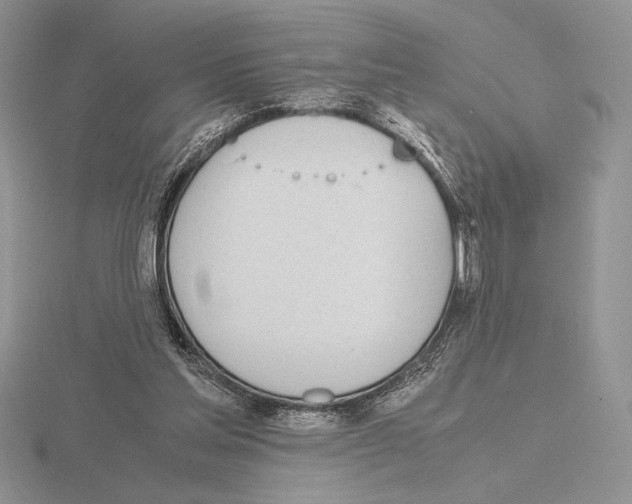 X0000115780205200912111134