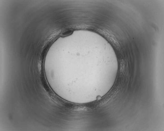 X0000115780206200912111134