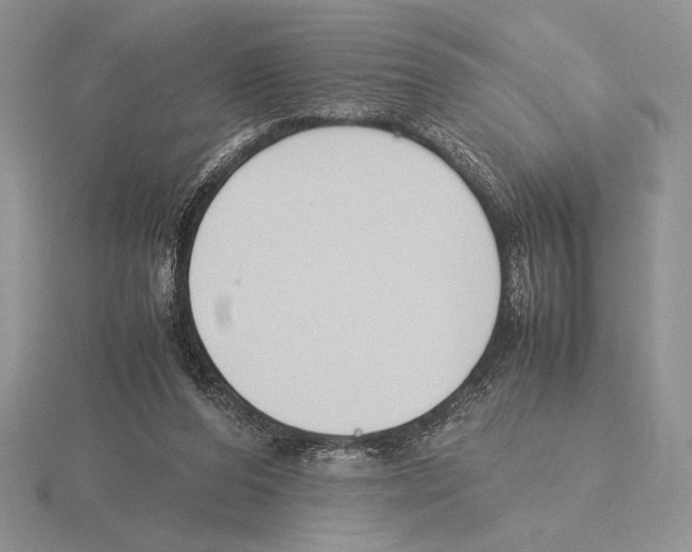 X0000115780208200912111134