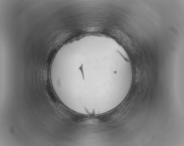 X0000115780210200912111134