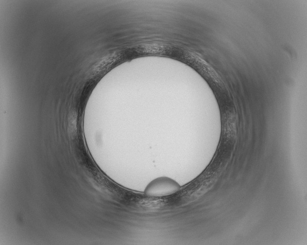 X0000115780213200912111134