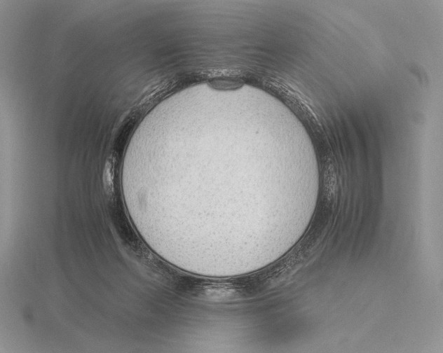 X0000115780214200912111134