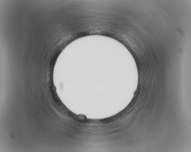 X0000115780215200912111134