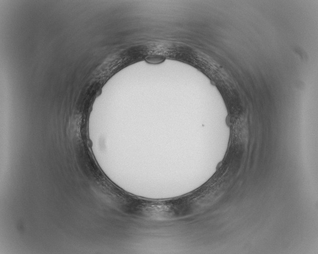 X0000115780217200912111134