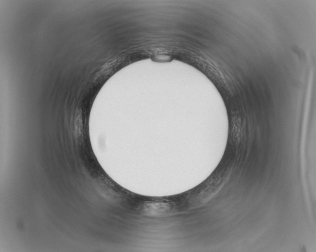 X0000115780220200912111134