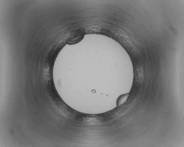 X0000115780224200912111134