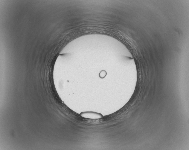 X0000115780225200912111134