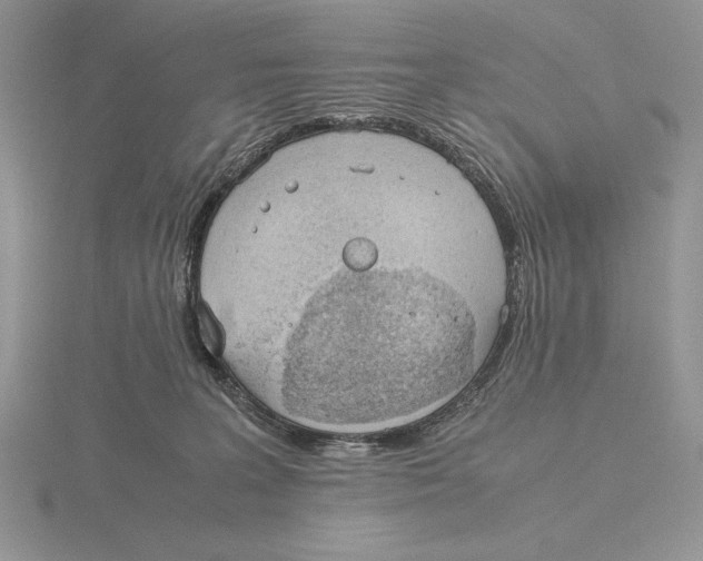 X0000115780227200912111134