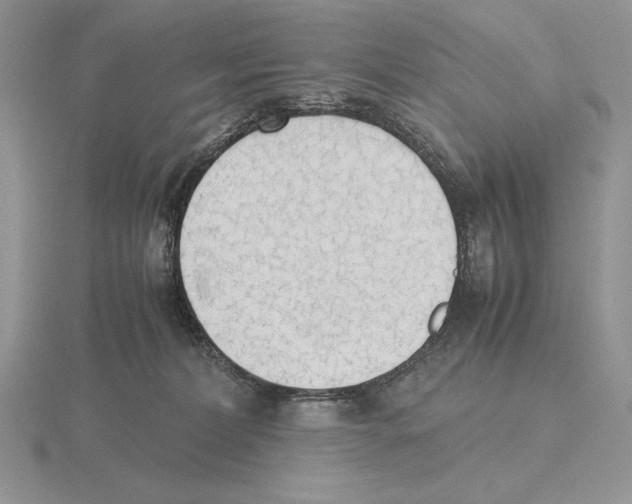 X0000115780228200912111134