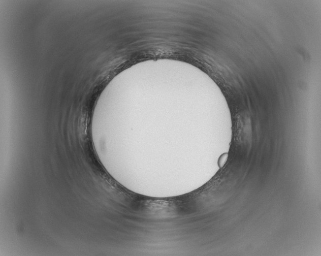 X0000115780230200912111134