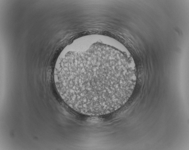 X0000115780231200912111134