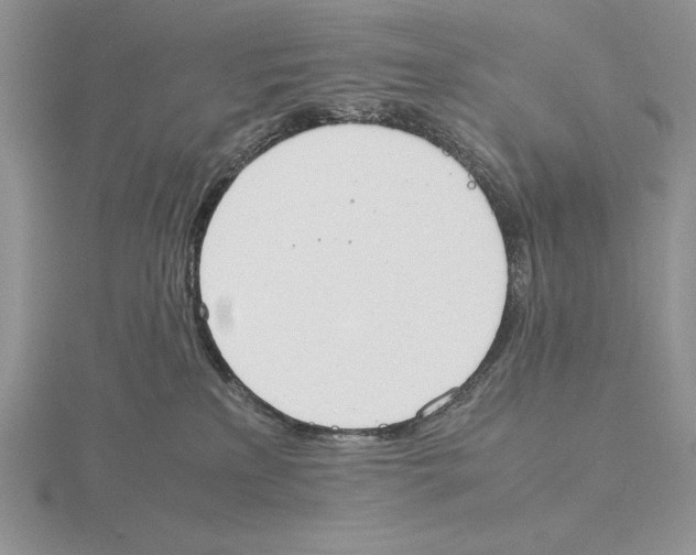 X0000115780233200912111134