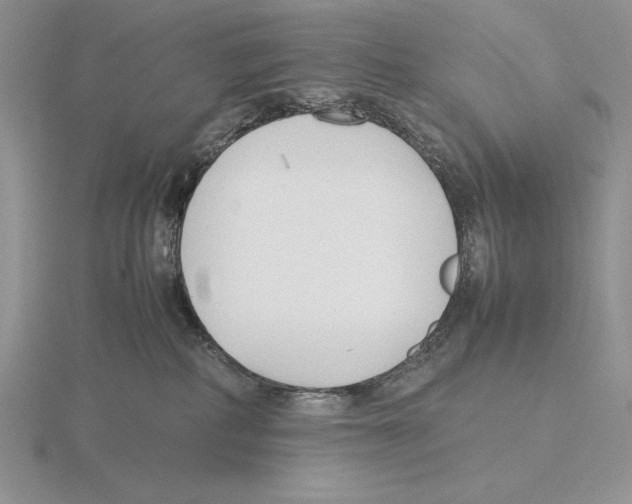 X0000115780234200912111134