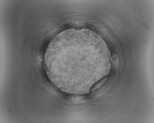 X0000115780235200912111134