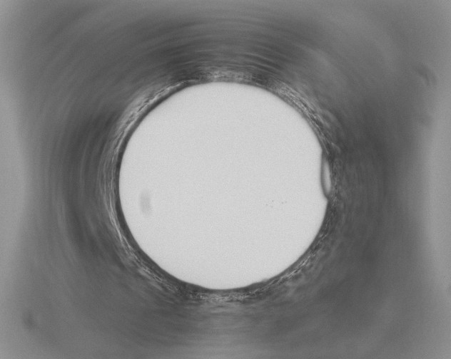 X0000115780241200912111133