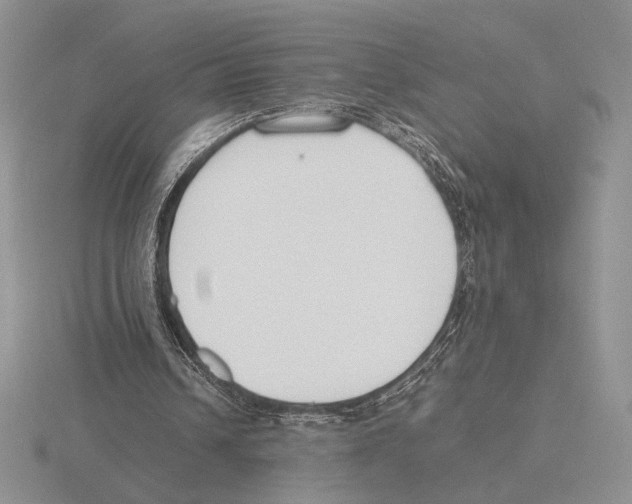 X0000115780242200912111133