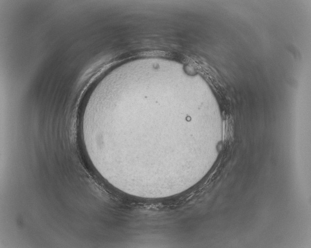 X0000115780243200912111133