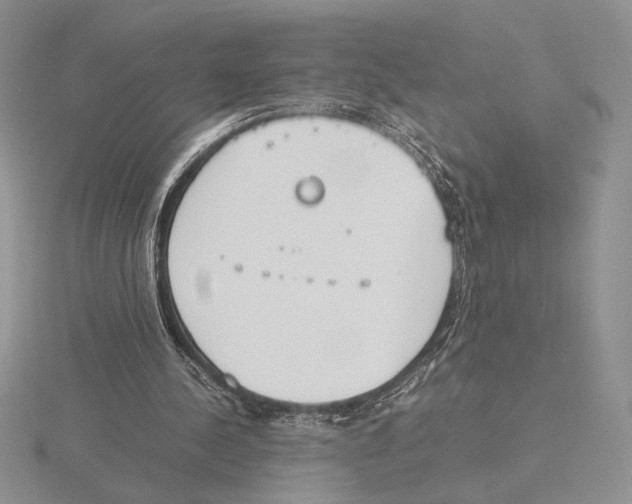 X0000115780244200912111133