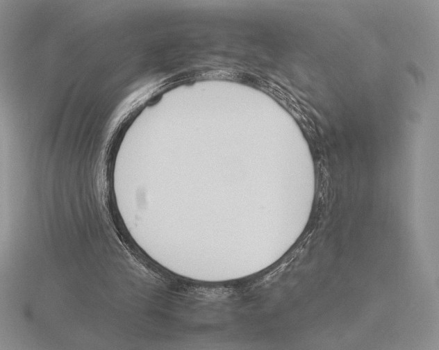 X0000115780245200912111133