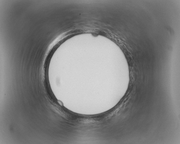 X0000115780246200912111133