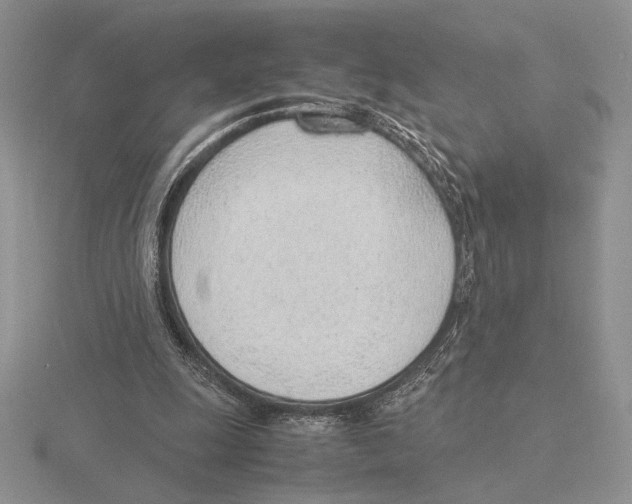 X0000115780247200912111133