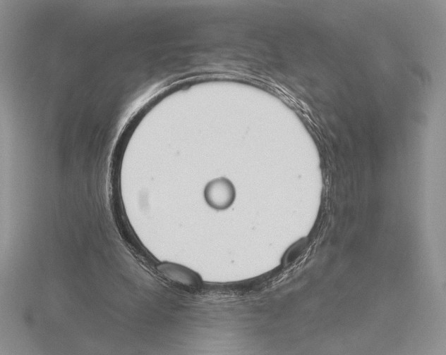 X0000115780248200912111133