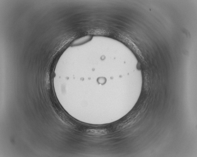 X0000115780251200912111133