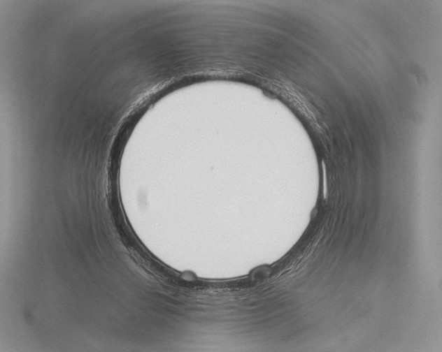 X0000115780252200912111133