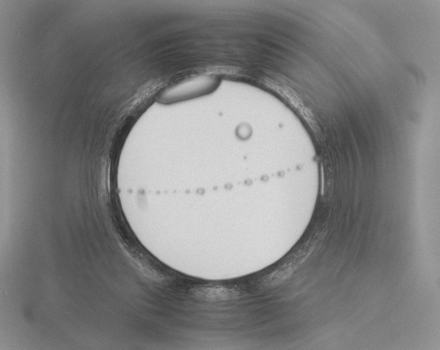 X0000115780253200912111133