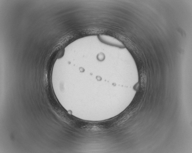 X0000115780254200912111133