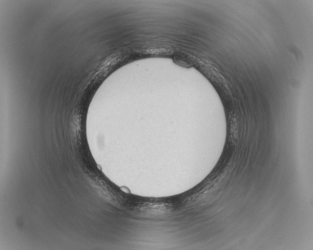 X0000115780260200912111133