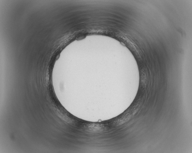 X0000115780261200912111133